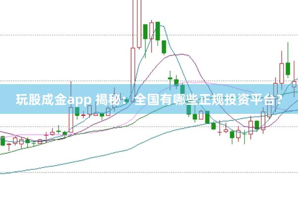 玩股成金app 揭秘：全国有哪些正规投资平台？