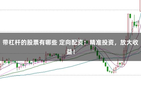 带杠杆的股票有哪些 定向配资：精准投资，放大收益！