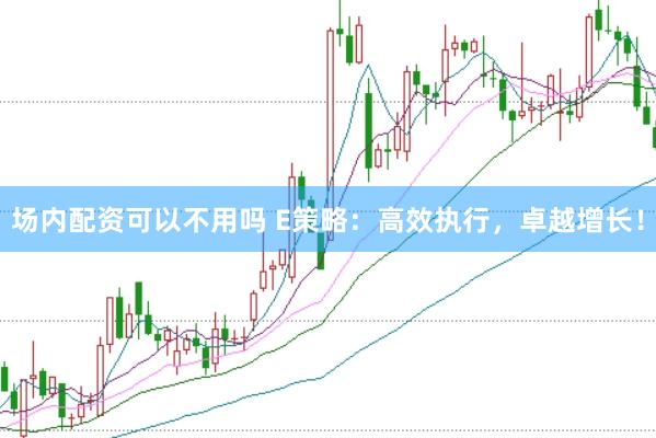 场内配资可以不用吗 E策略：高效执行，卓越增长！