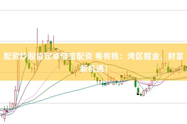 配资炒股皆定卓信宝配资 粤有钱：湾区掘金，财富新机遇！