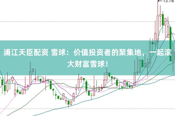 浦江天臣配资 雪球：价值投资者的聚集地，一起滚大财富雪球！