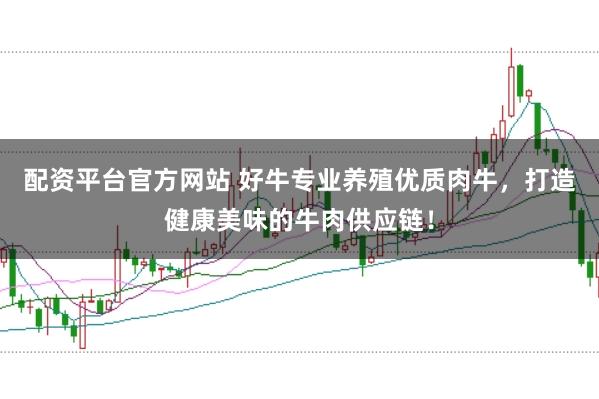 配资平台官方网站 好牛专业养殖优质肉牛，打造健康美味的牛肉供应链！