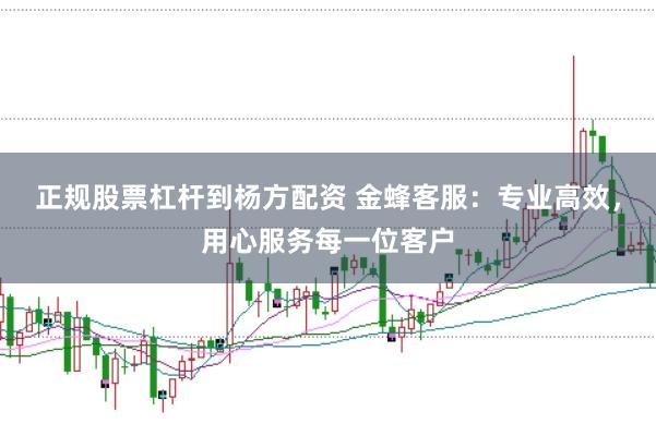 正规股票杠杆到杨方配资 金蜂客服：专业高效，用心服务每一位客户