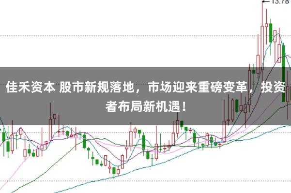 佳禾资本 股市新规落地，市场迎来重磅变革，投资者布局新机遇！