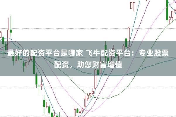 最好的配资平台是哪家 飞牛配资平台：专业股票配资，助您财富增值