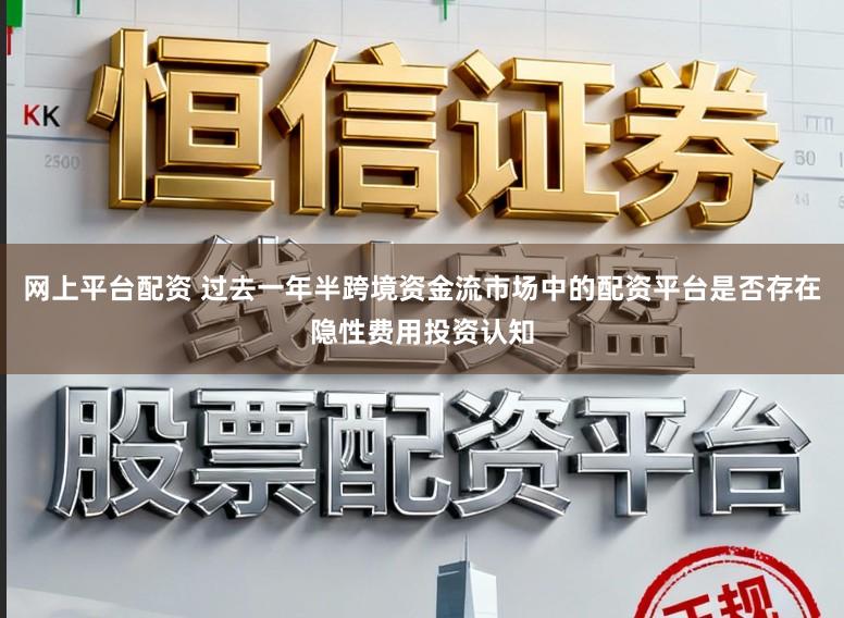 网上平台配资 过去一年半跨境资金流市场中的配资平台是否存在隐性费用投资认知