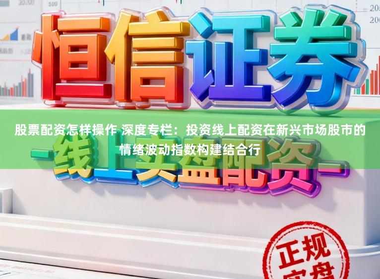 股票配资怎样操作 深度专栏：投资线上配资在新兴市场股市的情绪波动指数构建结合行