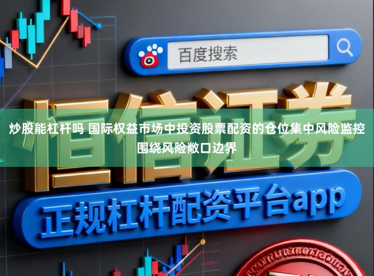 炒股能杠杆吗 国际权益市场中投资股票配资的仓位集中风险监控围绕风险敞口边界